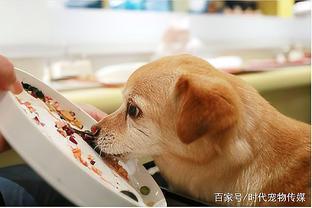 寵物食品行業(yè)的主流銷(xiāo)售模式解析